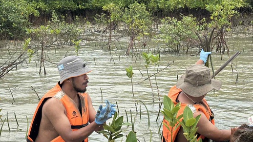 67.jpg, Mercator World Environment Day 2025