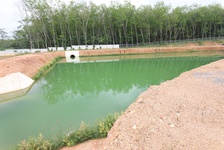 retencja10.jpg, Environment