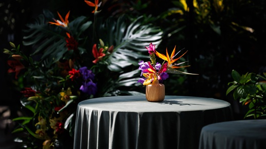 IMG_8130.jpg, Mercator Thailand participates in the official Opening of the Honorary Consul’s Office of the Kingdom of Thailand in Kraków