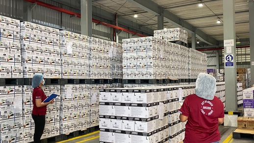 S__77332544_0.jpg, 5S System – A step towards greater efficiency and better organization!